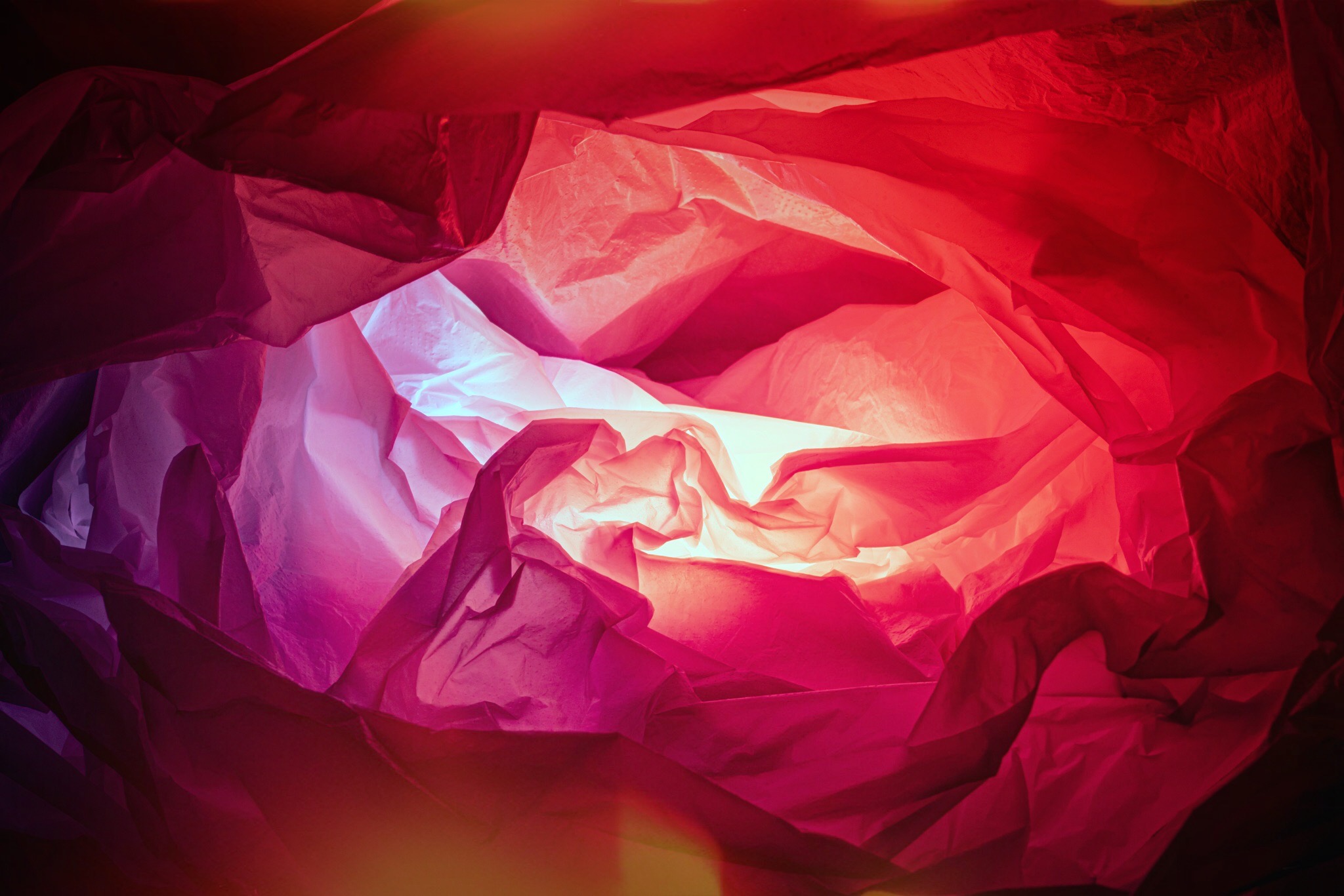 Carrier Bag