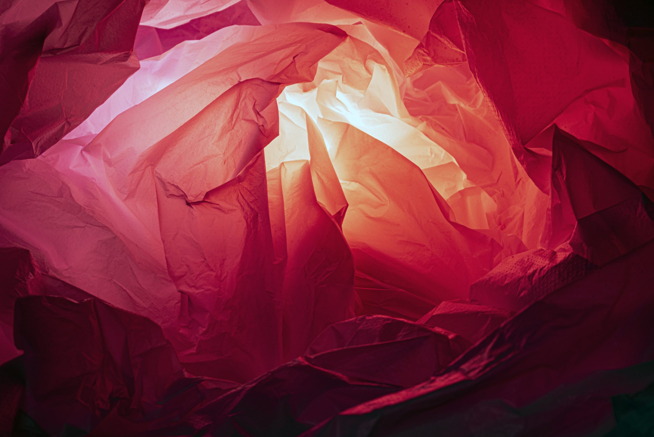 Carrier Bag Image