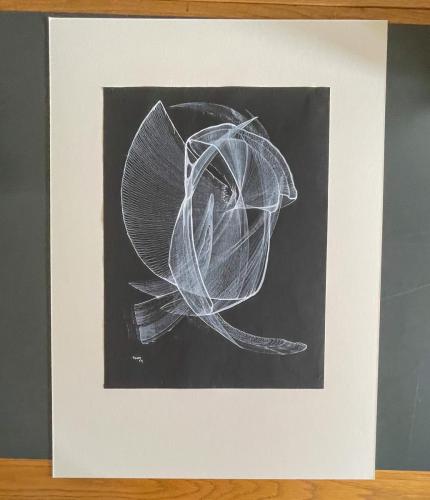 0537736F-6287-4407-B246-80A577451C9C