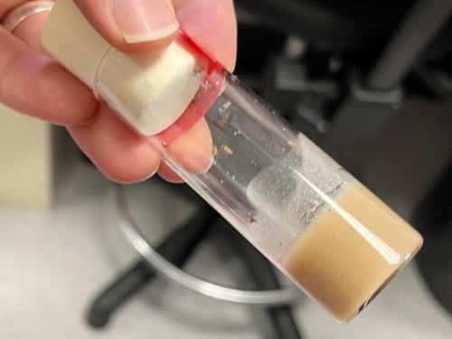 1C11E016-3B36-49AE-B513-C2C9DB116136