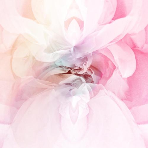 Vilde Rolfeson Inspired Image