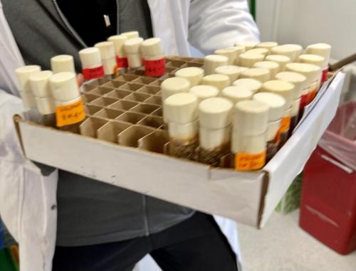 2FCF4364-7506-421F-825B-274115483E30