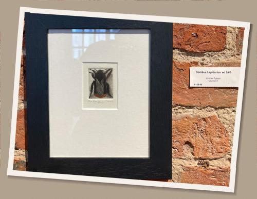 3923F158-8139-4B27-A57F-FD16B05EFD2B