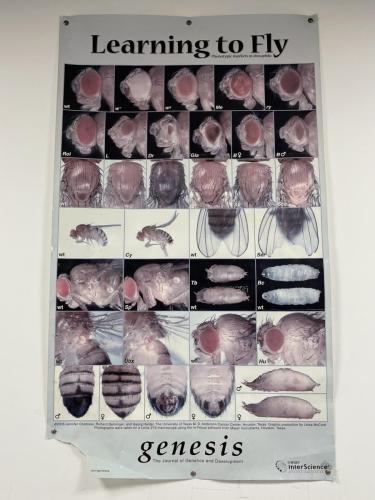 3DEA4310-4719-4D4E-B474-0A292E2353E2