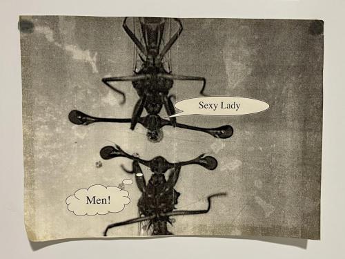 40D50C2B-E7A5-45B9-8576-84DBA56C6707