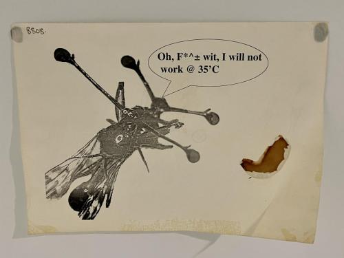 47898EB8-7CFD-4592-835A-5C3CF0EAE5AF