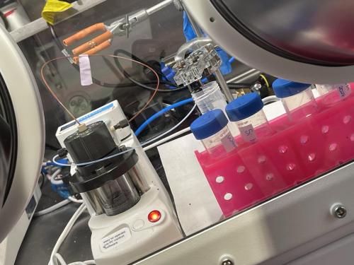 47ADB61D-CDF9-4C04-BD34-B3D14284ED42