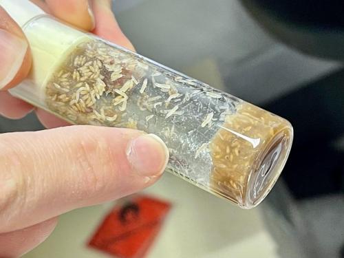 49F9F77A-1EC6-4A08-B690-336E067815EC