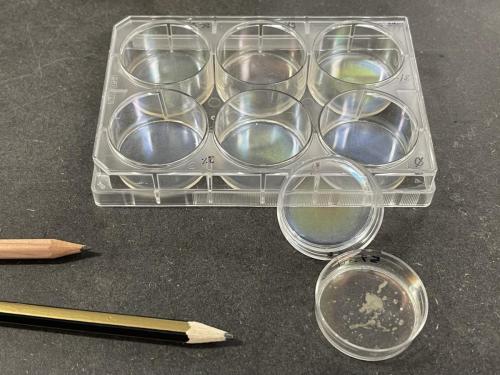 53583F7A-345F-4020-AAD3-CB60DDCD9DE4