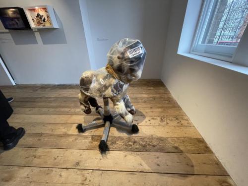 5392B1C9-E1C1-45B7-83A4-ACA6D4E85BA4