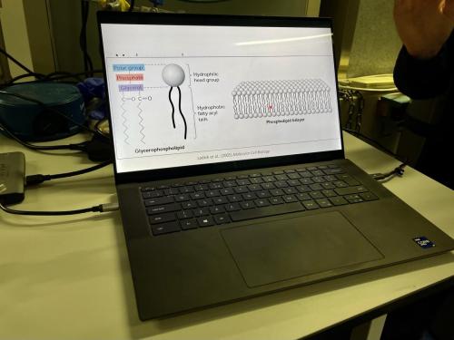 641312DA-E42D-49CB-A4A5-401743794C9E