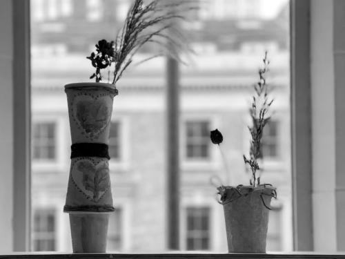 6BAC91CF-7E38-4FA1-B526-A1ED933FE427