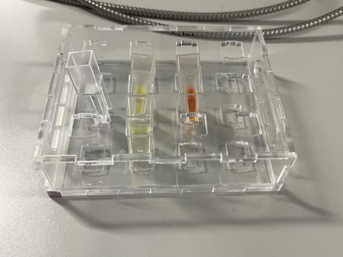 6E3CE02C-E51B-48AE-A93F-71E02A4A9C06