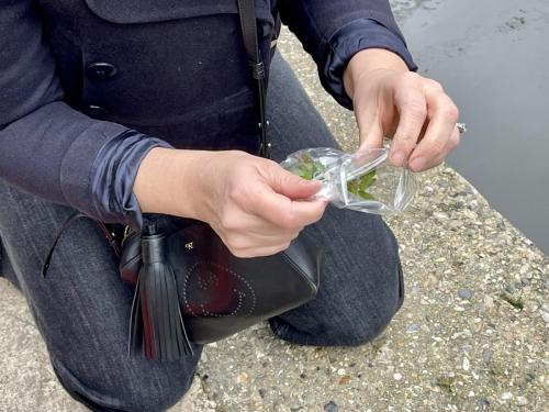 70497902-6AE9-4259-A936-8183ECB147EB