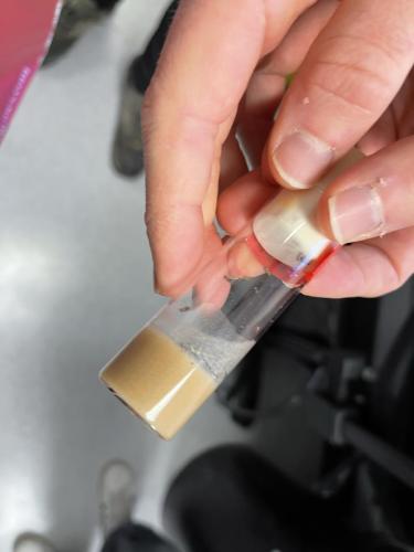 75645D86-D5D4-441F-97C2-0E8115615755