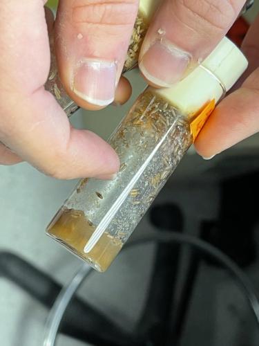 75F5FF15-E71E-425D-966E-C116F3C3C503