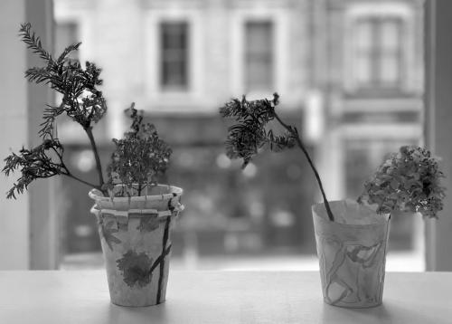 8C8102EE-BD8F-4F0D-A3C8-A0A0C146D3FC