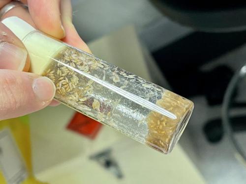 92ECA7D9-5EB2-4076-AB17-0A734B831FBF