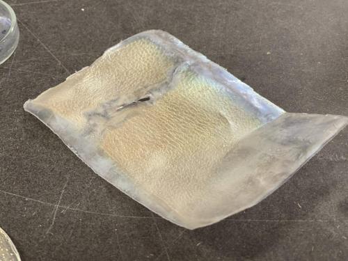 A12A5EEA-DCC7-4BF6-A0B9-BAF82AA2B3EC