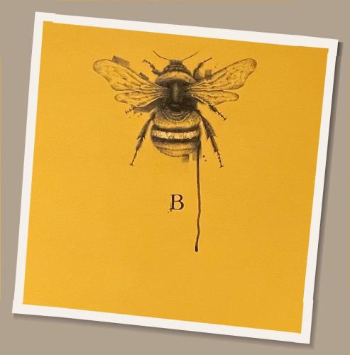 A2BE57E3-01B0-4B8A-BE01-5F2C2754A991