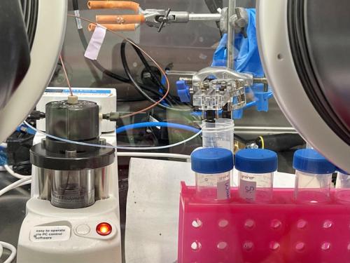 A650B725-3491-4617-807C-A2723BFB89AE