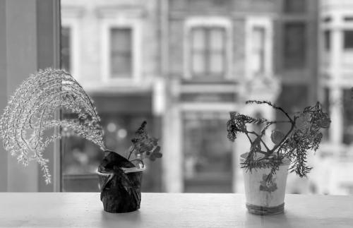 AC1A8469-5DCD-47E6-BBAF-56CA7668D08B