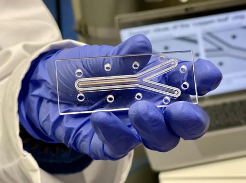 AE5747F6-719A-45C1-A8B7-92144DEB6347