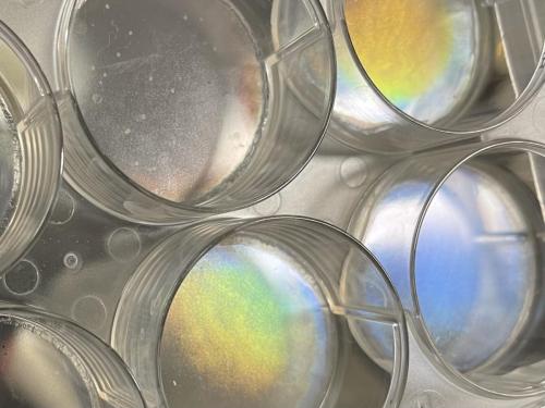 B58F47FE-A7CE-4B77-9996-C931C5F52090