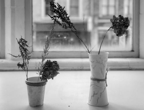 BD5A23D1-47F8-43C4-B3FA-7C6DD0925AD3