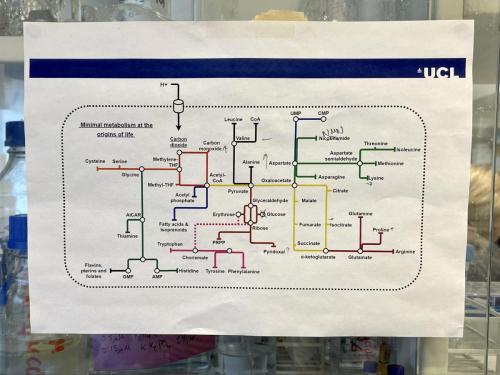 C73A9AD3-7AA1-416A-93B2-6CC135FD3D84