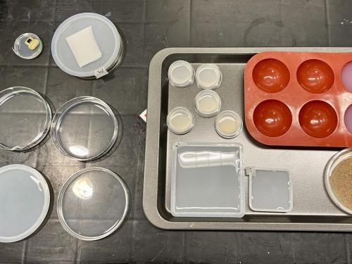 C950C4EA-4AF2-43D6-981C-7BC1819AEADF