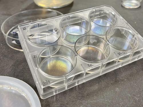 CBA22E3C-CF12-4732-A77C-ABCD37CC3AE6