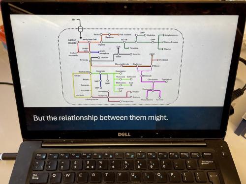 D1BB9522-5005-4AD8-A542-701E2B889B57