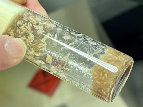 D373B815-5C86-4E4B-B5D3-7781F9003F41