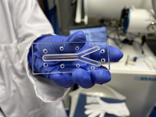 D700267E-57A1-4542-98F6-B200EDE7C393