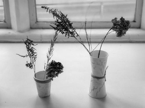 DBB2FE1F-ECF0-4197-969B-C68BC5FD4C76