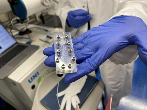 E47B8F09-7C18-4D5B-9BE0-D023C25E13A1