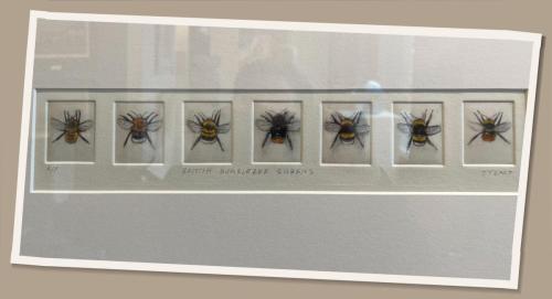 E59ADDD3-74A7-425C-B244-8E9E89F6E4A8