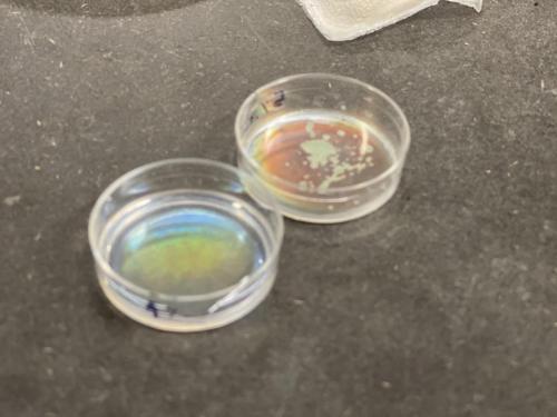 E5A66B49-F6F4-4A5F-8C38-3EE5A90C47FB