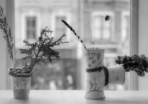 F26D2D93-F913-48E0-8AC2-E6B8DE5C7262