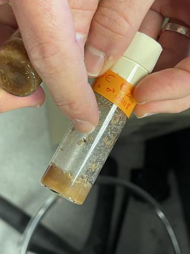 F50657FE-7855-452F-B1C7-B6F00D6B2E22