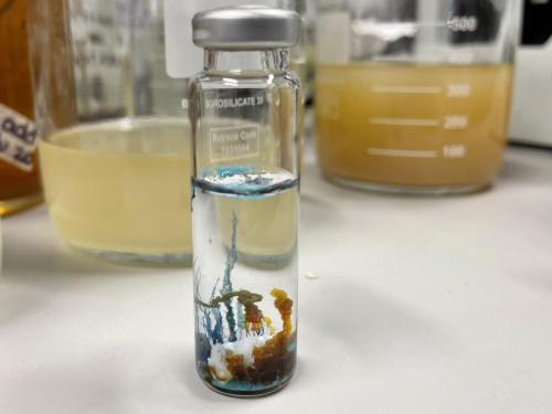 F679D1B1-4430-4B9C-8ABA-FB9BA72E3ED1