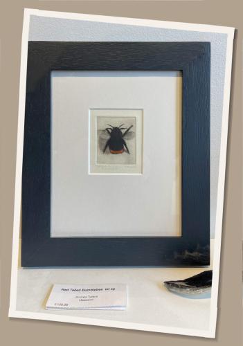 FD0F28E1-AF1B-4BD6-AF2B-BEADF98185BD