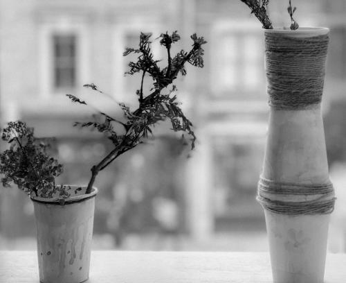 FF6DF942-C53E-424D-B5FB-7015802DD728