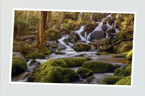 Becky Falls Photography Shoot