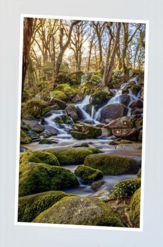 Becky Falls Photography Shoot