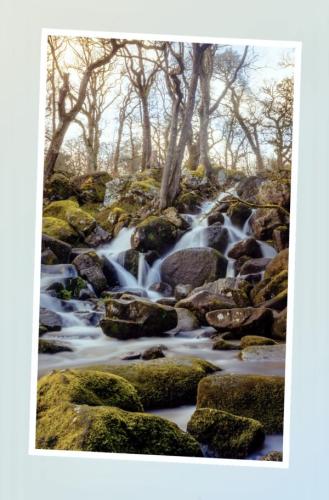 Becky Falls Photography Shoot