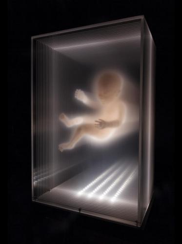 D2B5579E-A91B-4EDF-AAA3-01070940012C